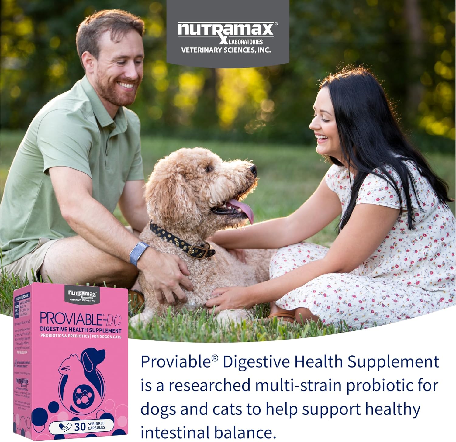 Nutramax Proviable Probiotics for Dogs and Cats, Daily Digestive Health Supplement with Multiple Strains of Bacteria, Cat and Dog Probiotics Plus Prebiotics, 30 Capsules