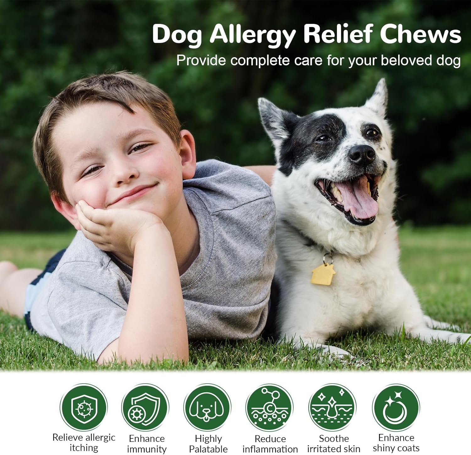 Dog Allergy Chews, Dog Itch Relief Chews for Paw Licking Itchy Skin Seasonal Allergies, Probiotics with Omega-3 Turmeric Astragalus for Large Dogs Coat Immune Supplement-90ct