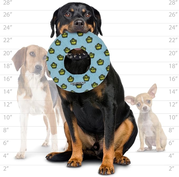 MIGHTY- NO Stuff Ring - Squeaky Plastic Core. 2-in-1 Toy. Made Durable, Strong & Tough. Interactive Play (Tug, Toss & Fetch). It Floats (Blue, Large)