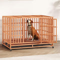 48IN Heavy Duty Dog Crate Steel Escape Proof, Indoor Double Door High Anxiety Cage Removable Tray, Extra Large,Orange