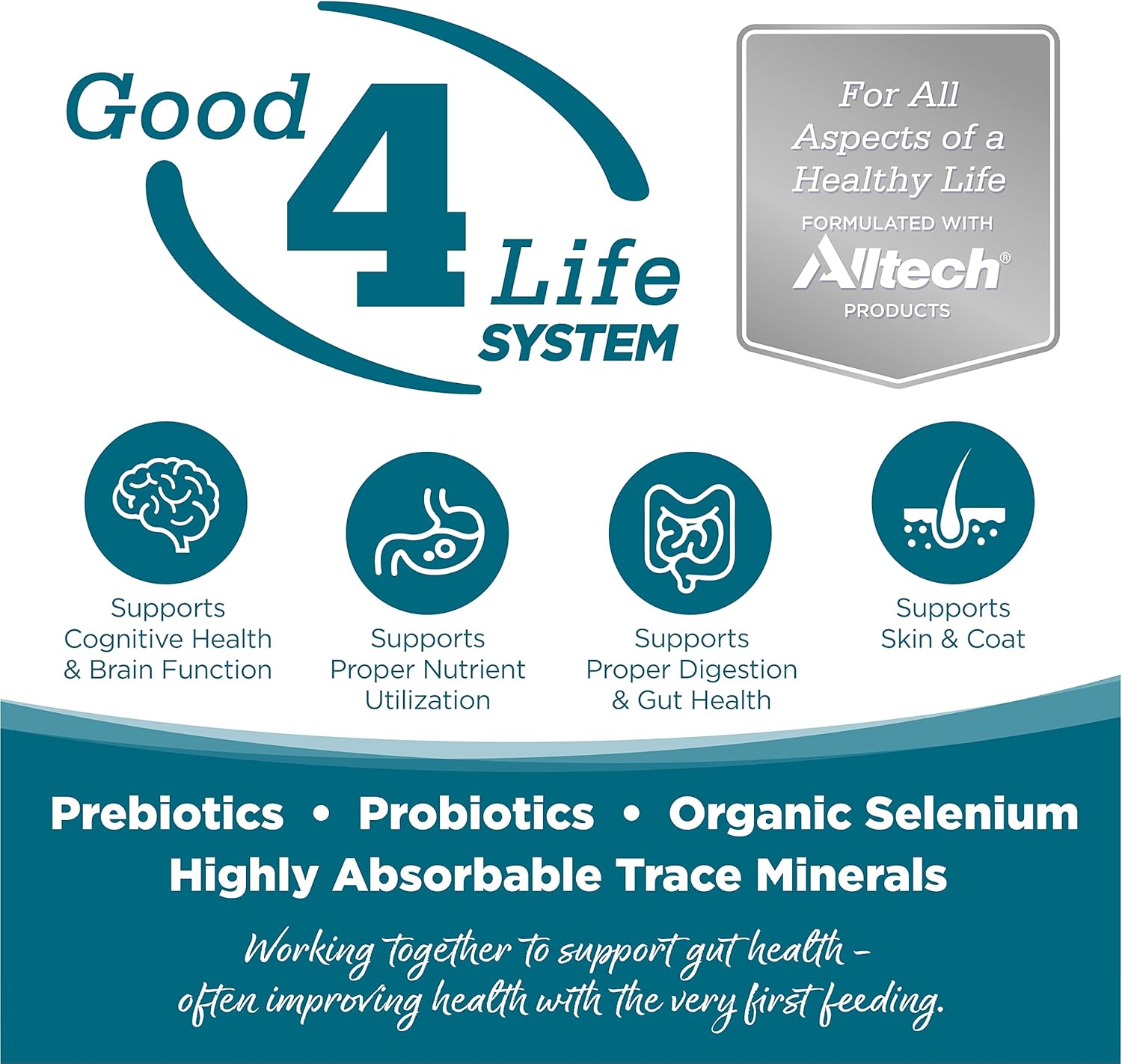 NutriSource Adult Dog Food, Made with Chicken and Rice, with Wholesome Grains, 30LB, Dry Dog Food