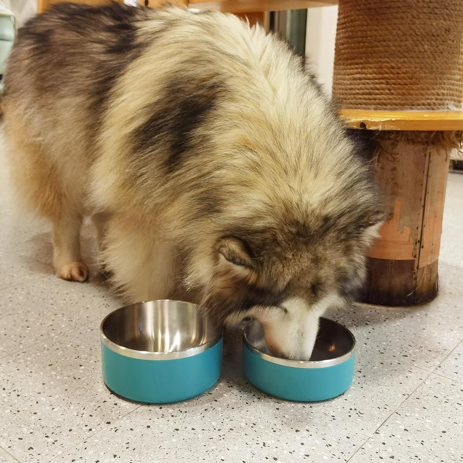 Stainless Steel Dog Bowl - Metal Water and Food Dish for Large Dogs, Insulated, Non-Slip, Easy Clean, 64oz, LakeBlue