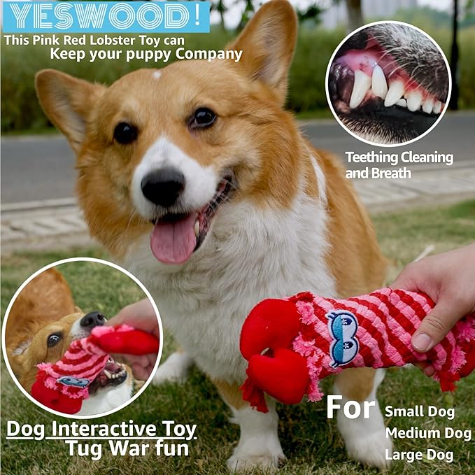 YESWOOD! Dog Squeaky Cocodie Rope Toy Pink Cute Stuffed Lobster,Durable Puppy RopeToy for Aggressive Chwers Tug of War Fetch Chew Toys for Teething Small Medium Breed 10-105 Pounds Interactive Gifts