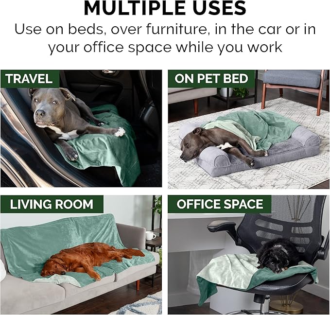 Furhaven Waterproof Throw Blanket for Dogs & Indoor Cats, Washable - Two-Tone Luxe Velvet Dog Blanket - Celadon Green, Extra Large/XL