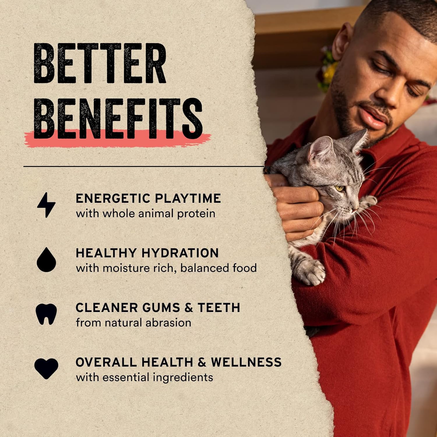 Vital Essentials Salmon Bites Cat Treats, 1.1 oz | Freeze-Dried Raw | Single Protein | Grain Free, Gluten Free, Filler Free