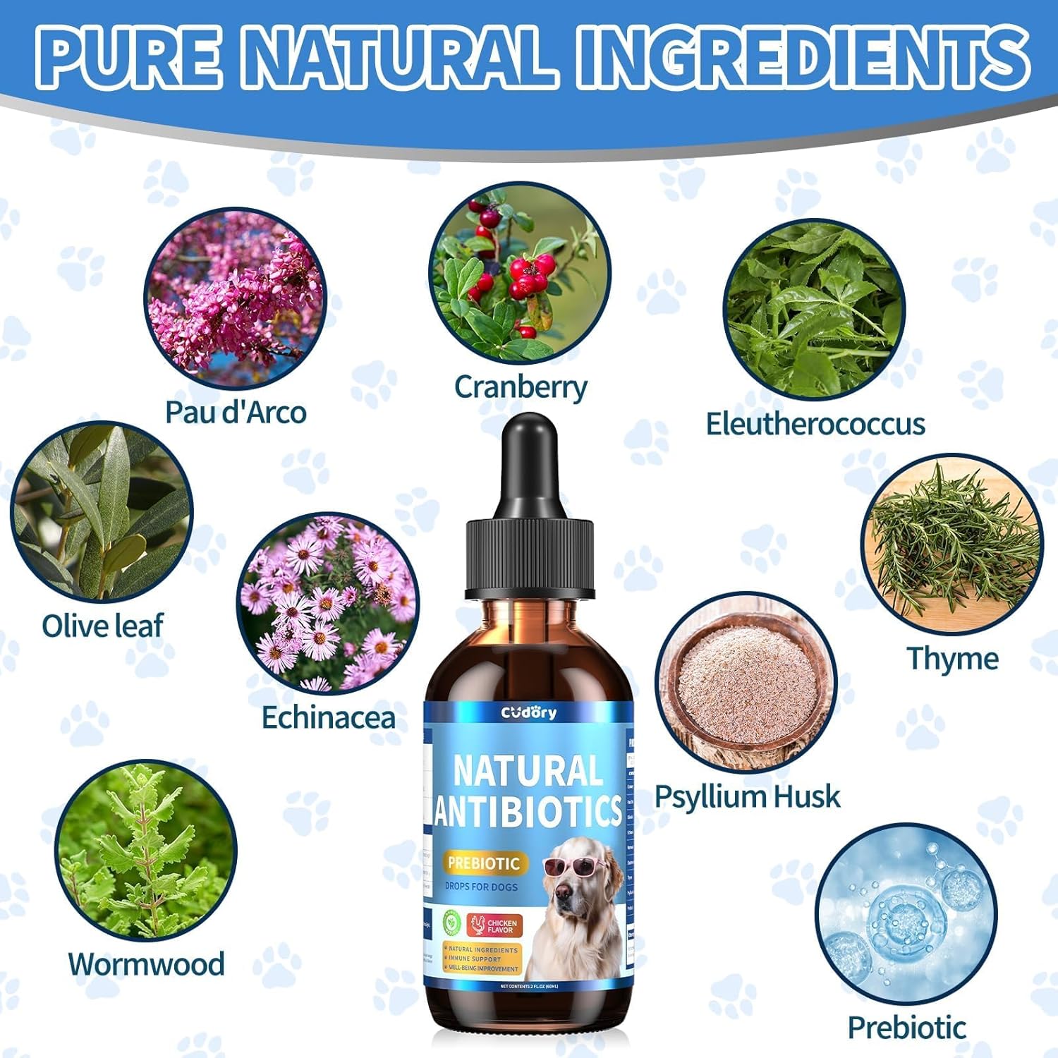 Natural Antibiotics for Dogs, Herbal Dog Antibiotics Supplement with Prebiotics for Dog Allergy Itch Relief Cough Immune Support Dog UTI Comfort for All Breeds and Ages-Chicken Flavor | 2 fl oz