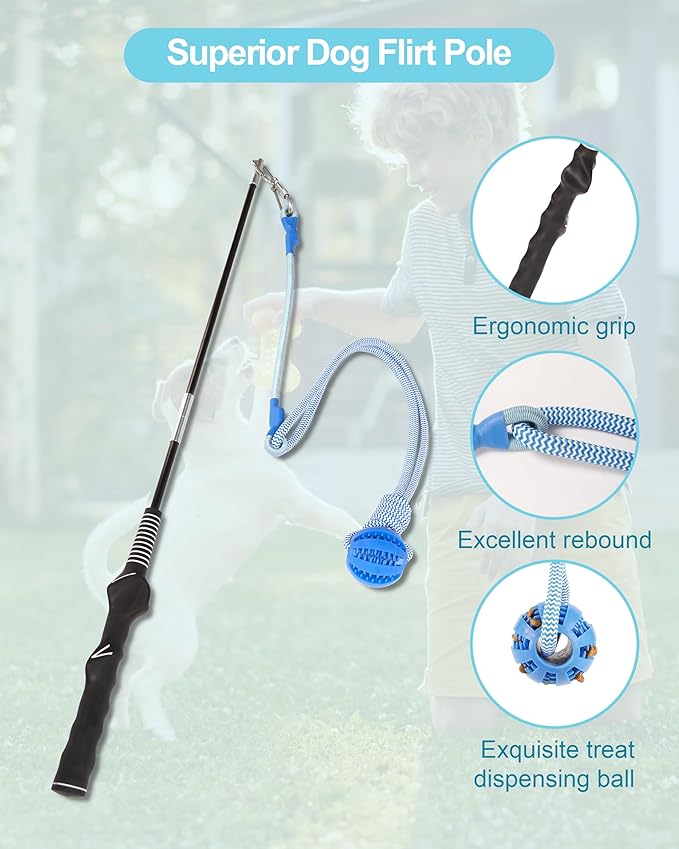 Flirt Pole for Dogs, Durable Dog Flirt Pole for Large Medium & Small Dogs, Interactive Dog Pole Toy with Rubber Ball for Outdoor/Indoor, Training, Chase, Tug of War 31 inch