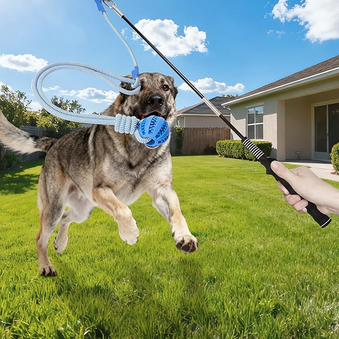 Flirt Pole for Dogs, Durable Dog Flirt Pole for Large Medium & Small Dogs, Interactive Dog Pole Toy with Rubber Ball for Outdoor/Indoor, Training, Chase, Tug of War 31 inch