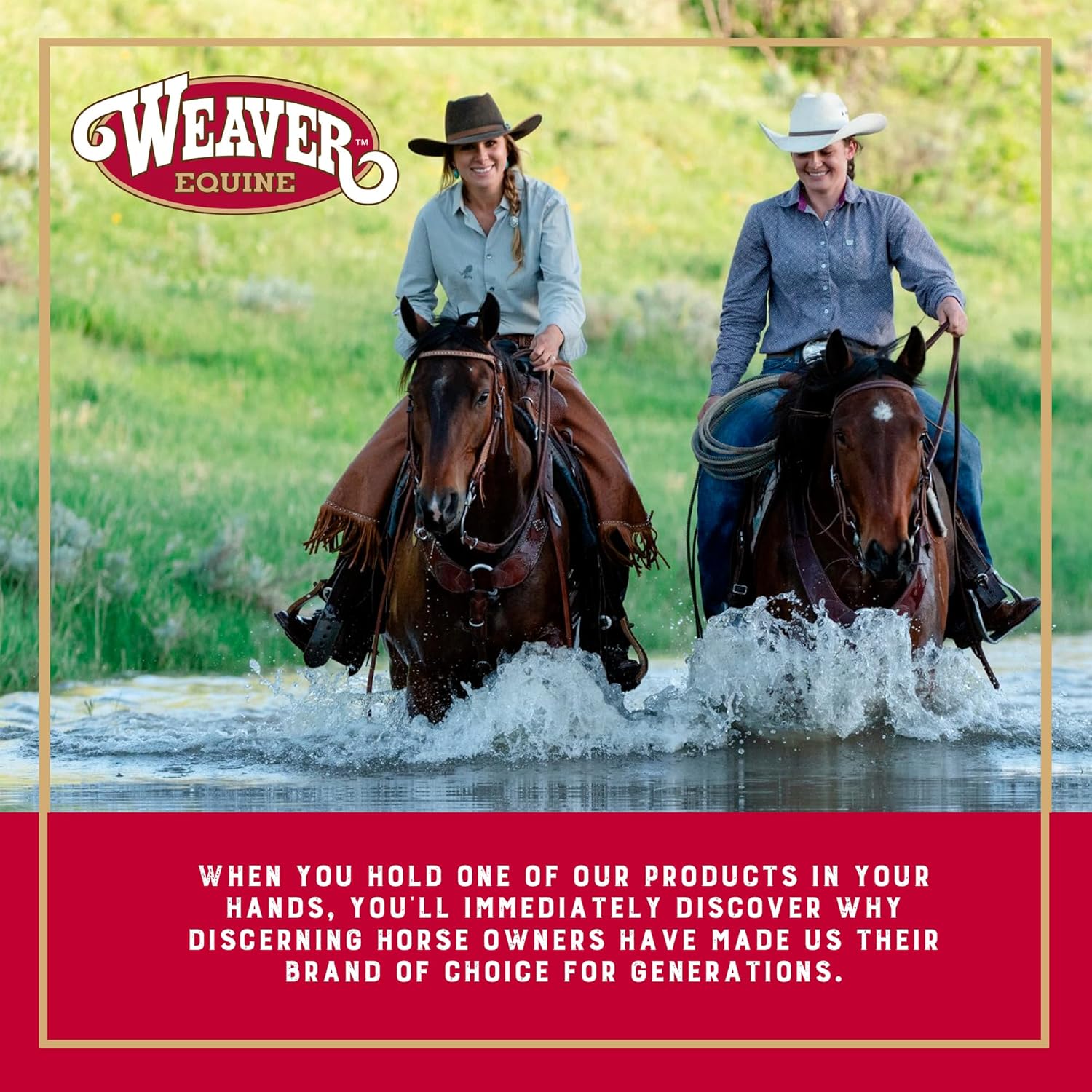 Weaver Equine 6-Piece Horse Grooming Kit, Ergonomic Gentle Horse Care Kit, Equestrian Supplies for Bathing Support, Detangling, and More, Mint/Gray