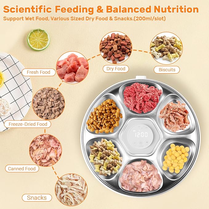 Automatic Cat Feeder for Wet Food, Stainless Steel Tray 6 Meals Dispenser with 2 Ice Packs, Programmable Timer, Rechargeable Cordless Auto Pet Feeder for Cats Small Dogs