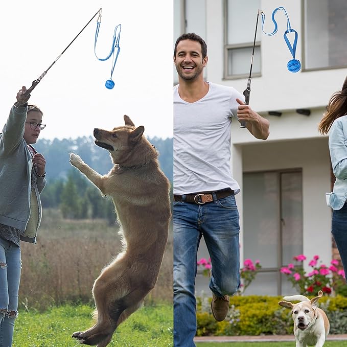 Flirt Pole for Dogs, Durable Dog Flirt Pole for Large Medium & Small Dogs, Interactive Dog Pole Toy with Rubber Ball for Outdoor/Indoor, Training, Chase, Tug of War (24 & 31 inch)