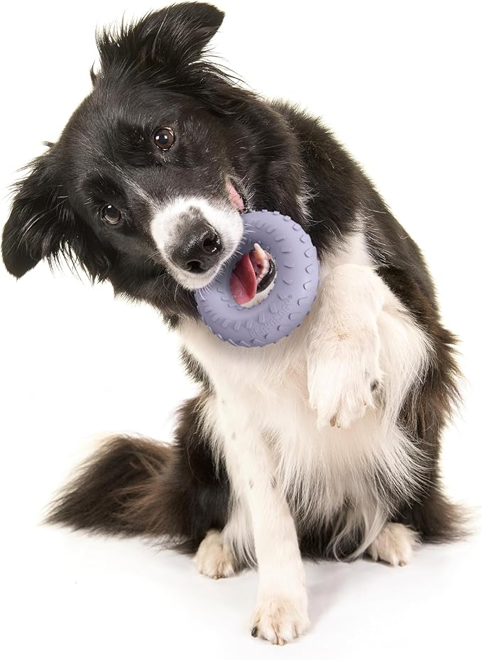 Playology Dog Toys | Dual Layer Ring Durable Chew Toy for Aggressive Chewers | Medium Lamb Scented Toy - Easy to Clean and Made from Non Toxic Materials