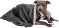 Furhaven Waterproof Throw Blanket for Dogs & Indoor Cats, Washable - Two-Tone Luxe Velvet Dog Blanket - Granite Gray, Large
