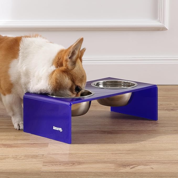 The LICKER Store DBL2000F Keaton 5" Small/Medium Modern Acrylic Rectangular Elevated Pet Feeder with 20oz 2-Stainless Steel Bowls, Purple/Chrome