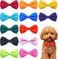 PET SHOW 12 Colors Plain Small Dogs Collar Embellishment Attachment Bow Ties Puppies Cats Collar Charms Accessories Slides Bowties for Birthday Wedding Parties Assorted Pack of 12