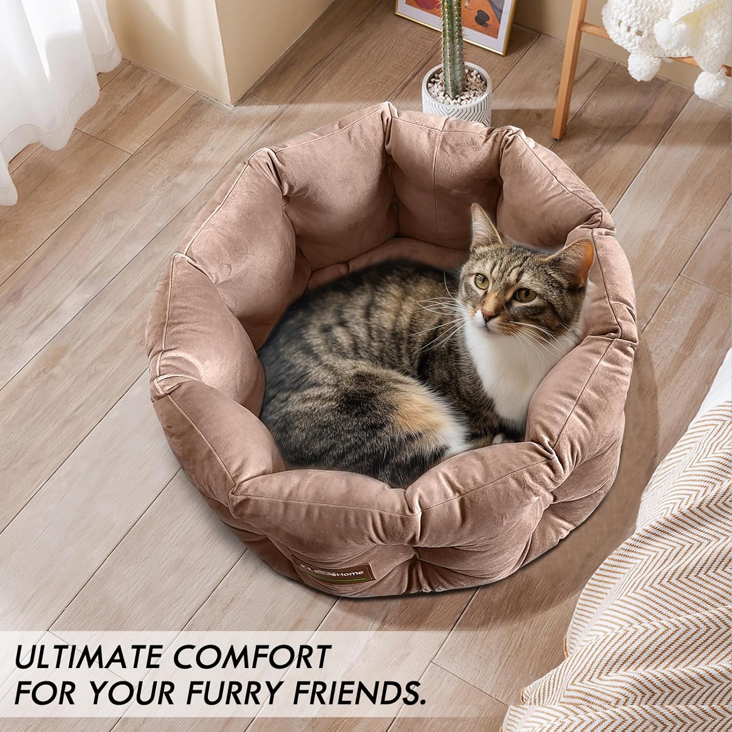 ClevaHome Deep Nest Cat Bed for Small Pets up to 15lbs - Round Cat Beds for Indoor Cats, Luxurious Velvet Feel, Extra High Sides, Machine Washable Comfort Pet Bed with Non-Slip Bottom (Warm Beige)