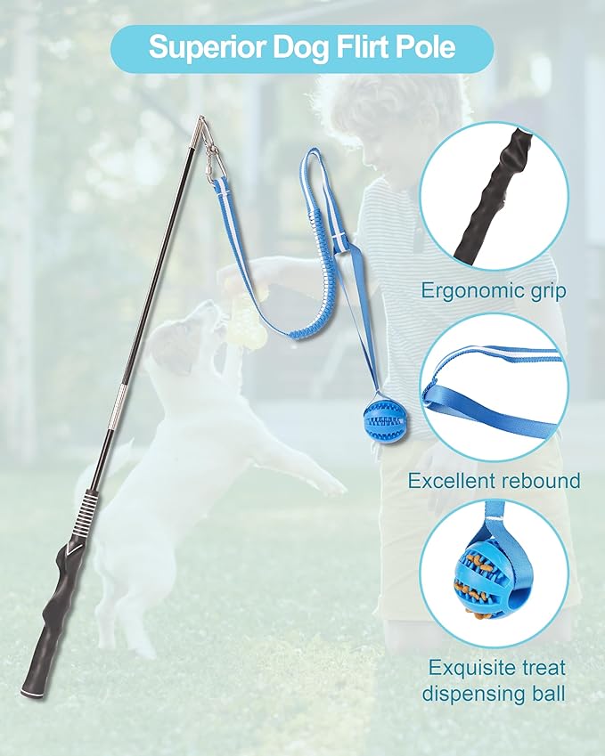 Flirt Pole for Dogs, Durable Dog Flirt Pole for Large Medium & Small Dogs, Interactive Dog Pole Toy with Rubber Ball for Outdoor/Indoor, Training, Chase, Tug of War 31 inch