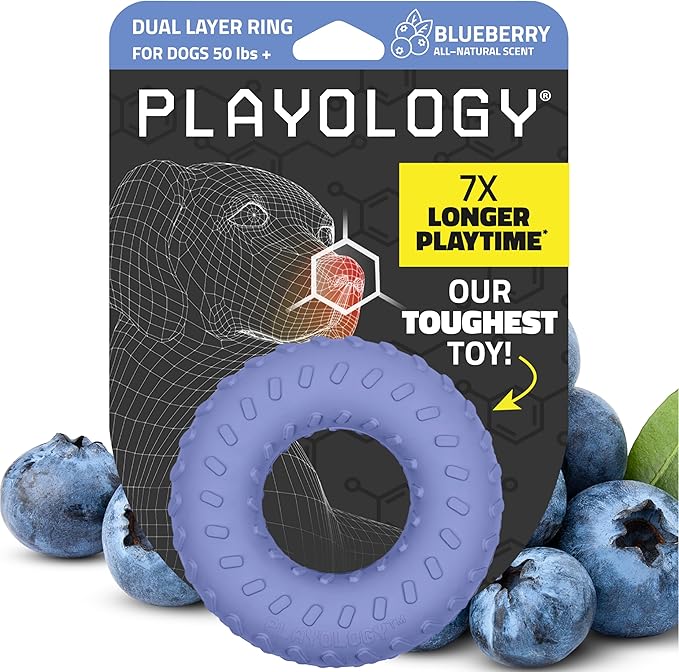 Playology Dog Toys | Dual Layer Ring Durable Chew Toy for Aggressive Chewers | Jumbo Blueberry Scented Toy - Easy to Clean and Made from Non Toxic Materials