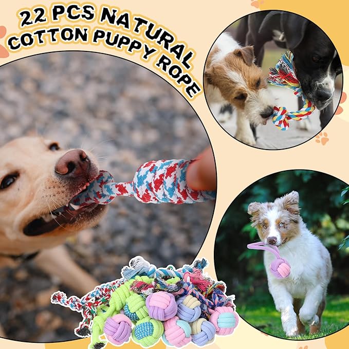 Syhood 60 Pcs Squeaky Dog Toys Bulk Christmas Stuffed Plush Chew Toys Puppy Teething Rope Cute Spiky Chew Ball for Christmas Small Dog Pet Teething Gift(Lovely Style)