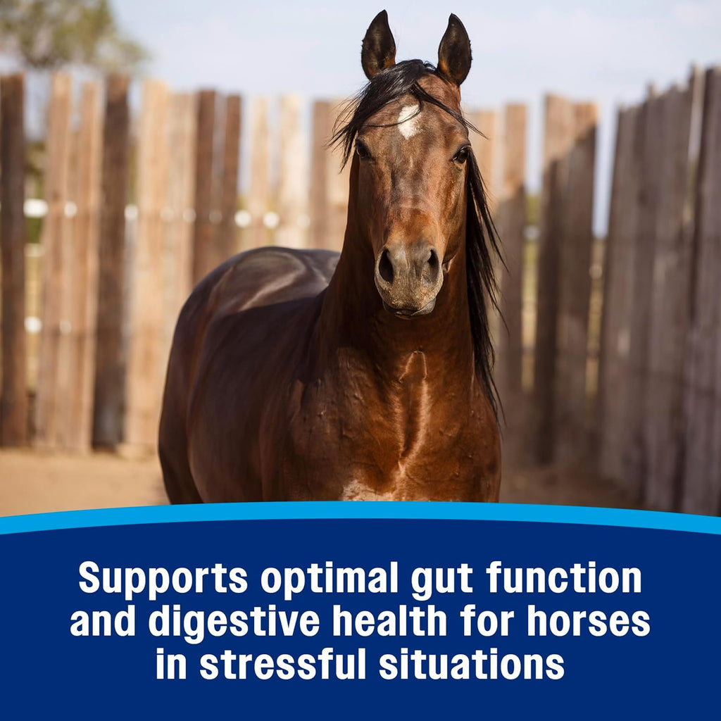 Farnam Gastric Health Pellets, Daily Gut and Digestive Health Supplement for Horses Helps Maintain a Healthy Gastrointestinal Tract and Gut Function