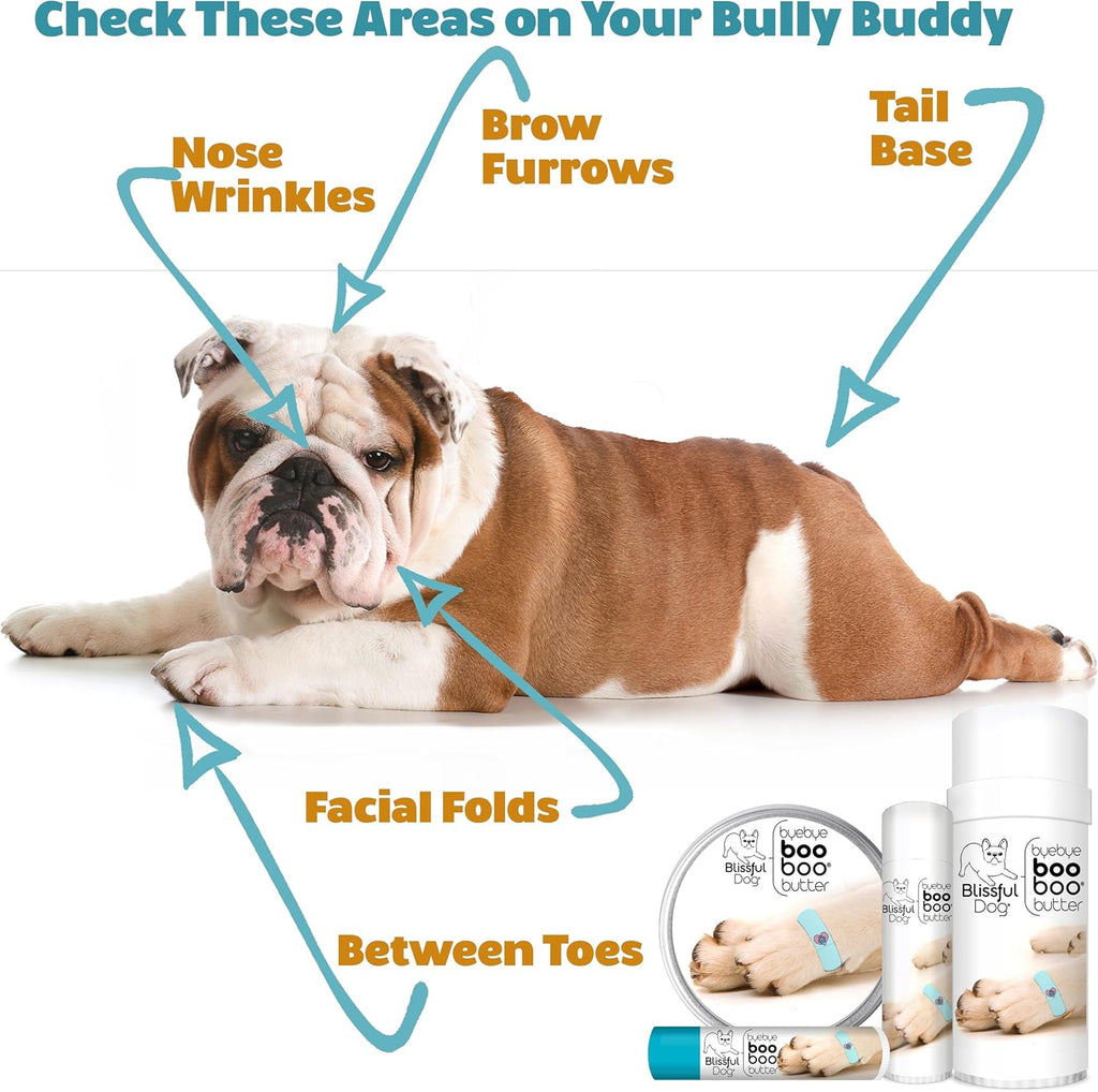 The Blissful Dog Coton De Tulear Boo Boo Butter, 16 oz.