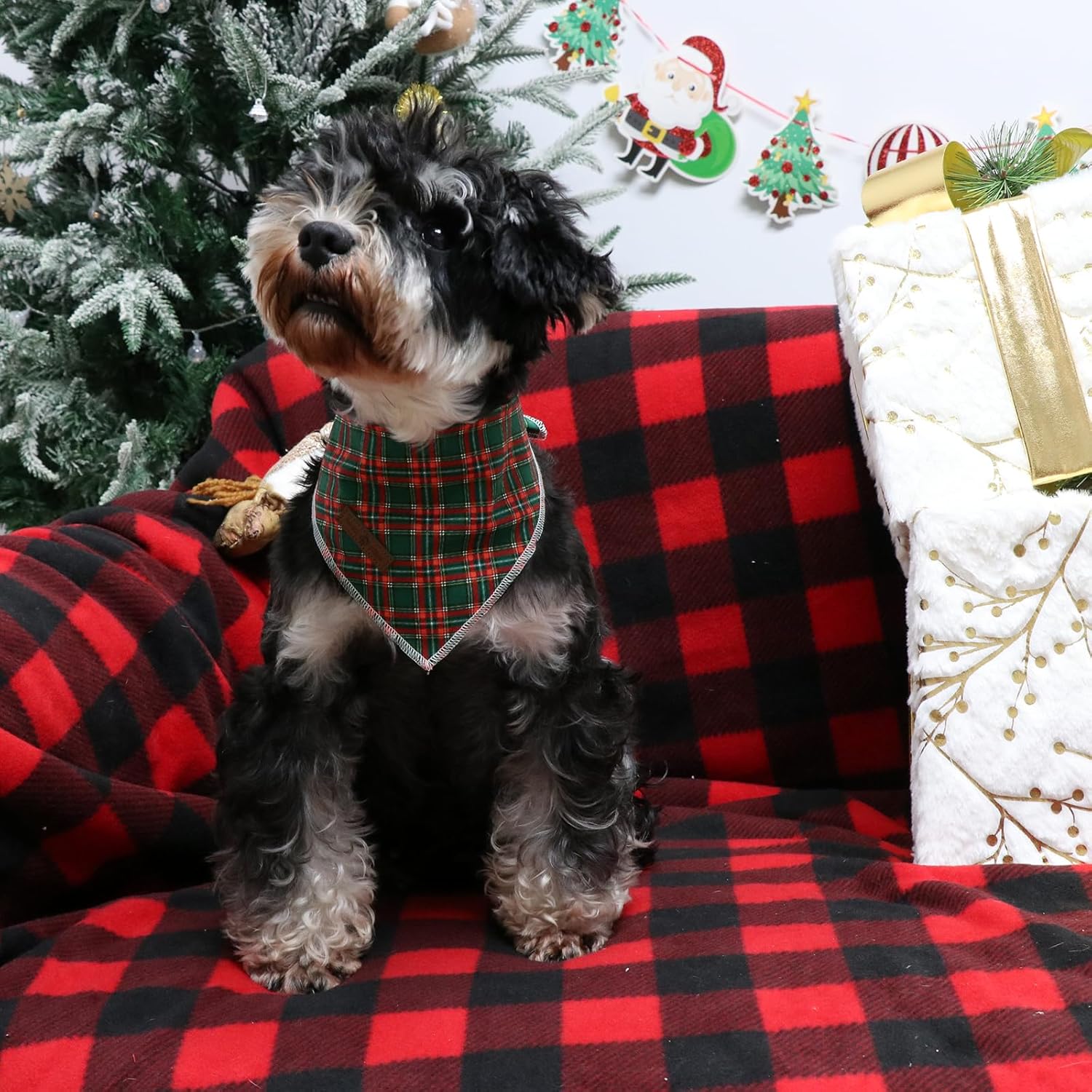 Lionet Paws Christmas Dog Bandana for Small Medium Dogs,Green Grid Dog Kerchief Washable Dogs Triangle Bibs Scarf for Girl or Boy