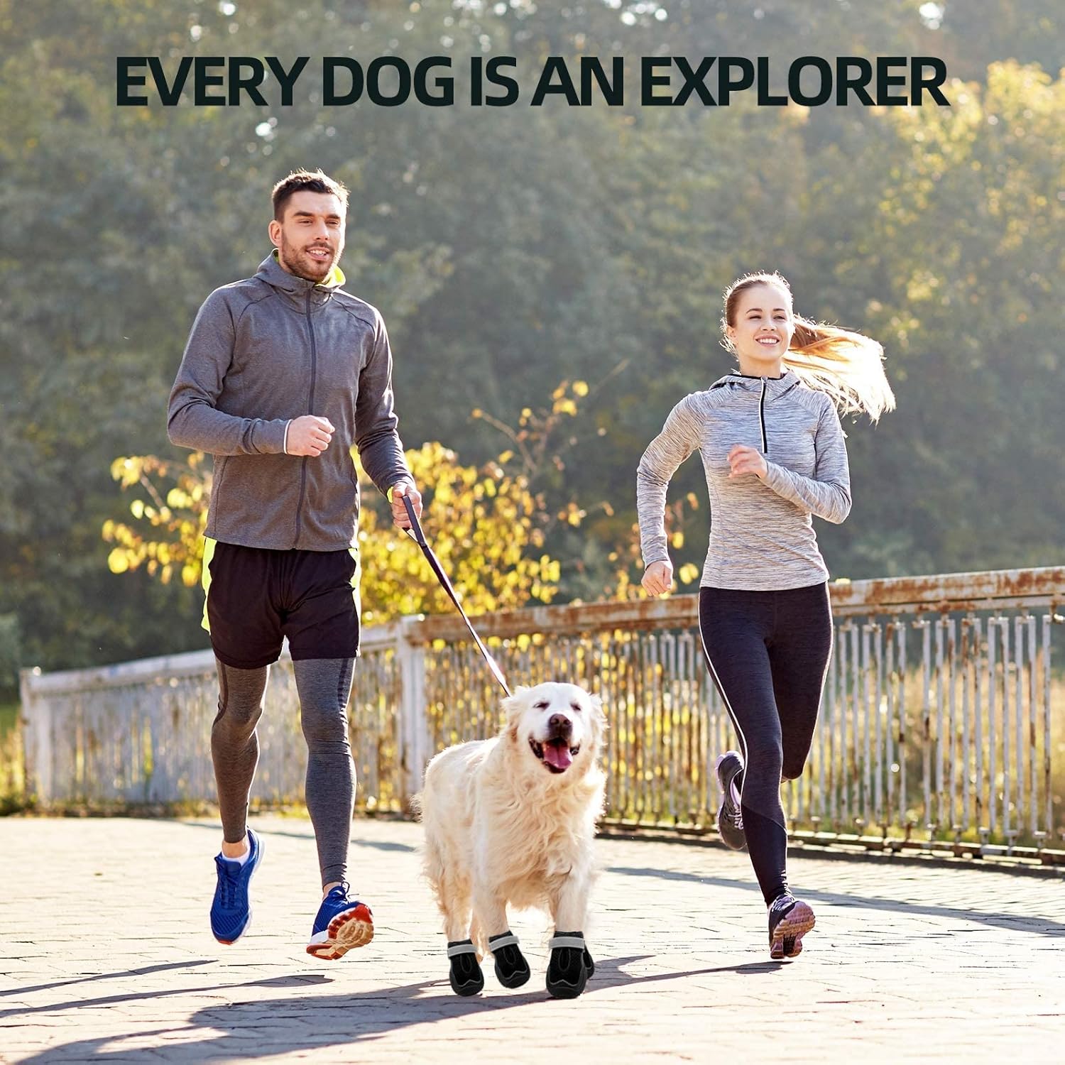 Hcpet Dog Boots for Large Dogs, Dog Shoes for Hot Pavement Winter Snow, Paw Protector Dog Booties Designed for Comfort and Breathability, Outdoor Booties for Small Medium Dogs for Hiking Black Size 1