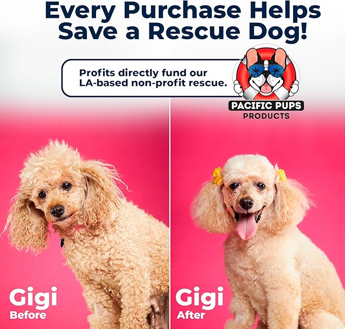 Pacific Pups Products 2 Pack Blue - XL Dog Rope Toy for Aggressive Chewers - Benefits Non-Profit Dog Rescue - Tug of War Dog Toy, Dog Toys for Large Dogs, Tough Dog Toys for Aggressive Chewers