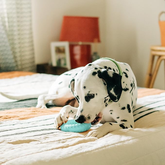 Playology Dog Toys | Dual Layer Ring Durable Chew Toy for Aggressive Chewers | Jumbo Peanut Butter Scented Toy - Easy to Clean and Made from Non Toxic Materials