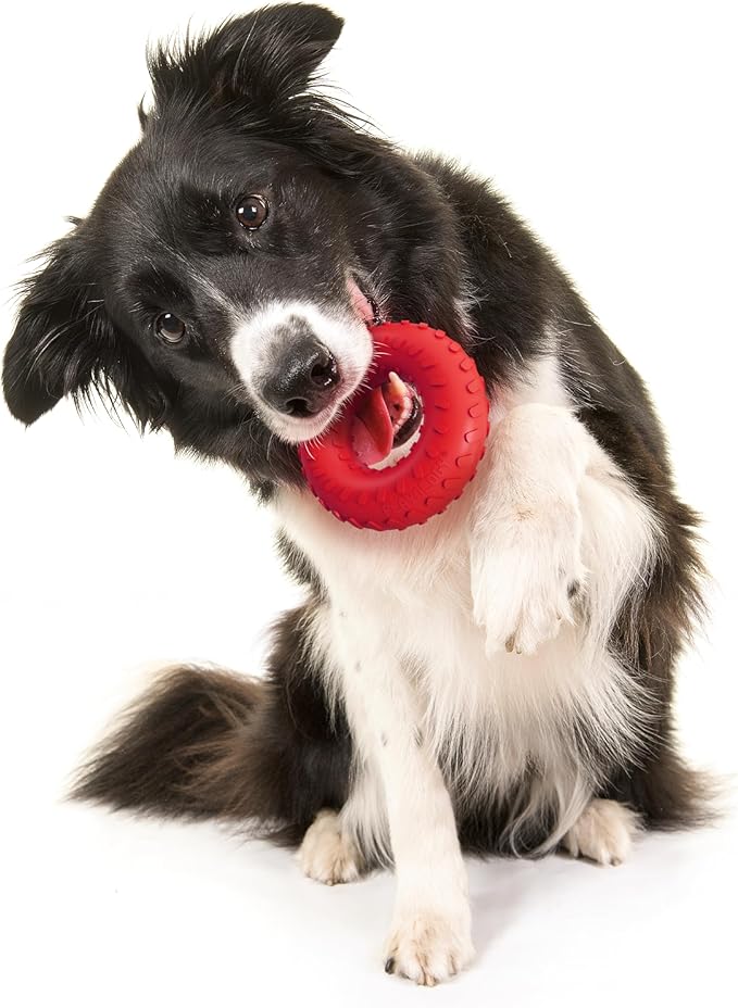 Playology Dog Toys | Dual Layer Ring Durable Chew Toy for Aggressive Chewers | Medium Beef Scented Toy - Easy to Clean and Made from Non Toxic Materials