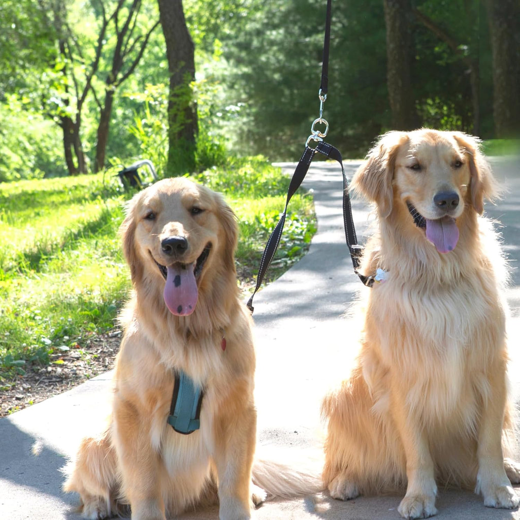 Caldwell's Pet Supply Co. Leash Coupler, Two Dog Leash Splitter to Split Leashes for Walking 2 Dogs, Tangle Free Double Dog Leashes Connector, Adjustable Attachment for Medium or Large Dogs