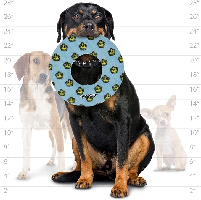 MIGHTY- NO Stuff Ring - Squeaky Plastic Core. 2-in-1 Toy. Made Durable, Strong & Tough. Interactive Play (Tug, Toss & Fetch). It Floats (Blue, Large 2 Pack)