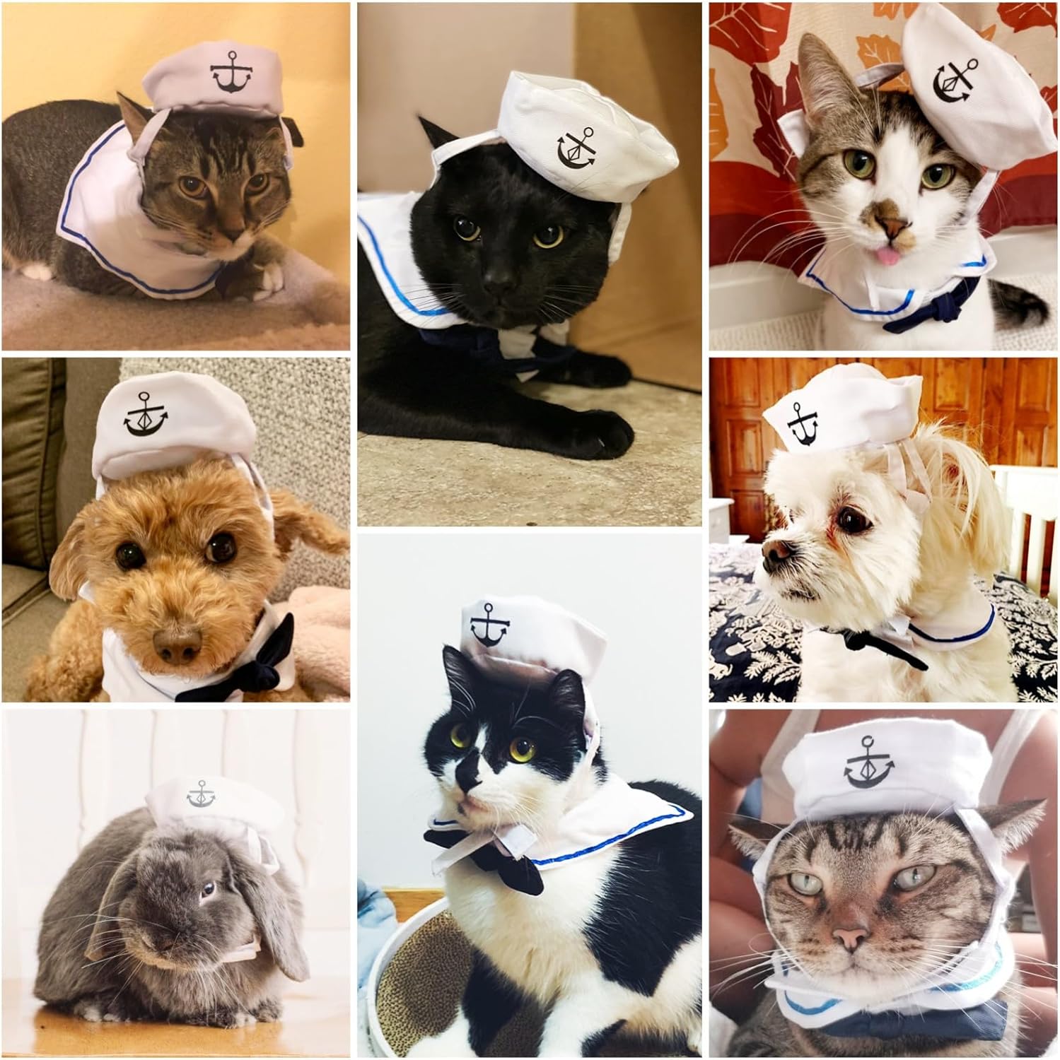 Enjoying Cat Sailor Costume, Halloween Small Dog Sailor Hat Outfit with Tie, Adjustable Pet Navy Costume for Cats Doggies Rabbits Cosplay