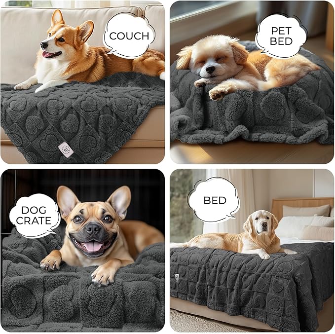 Luciphia Small Dog Blanket Washable Pet Bed Cover Soft Fluffy Puppy Blanket with Premium Fleece 300GSM Cozy Calming Cat Blankets for Indoor Cats Grey 57x40 inch