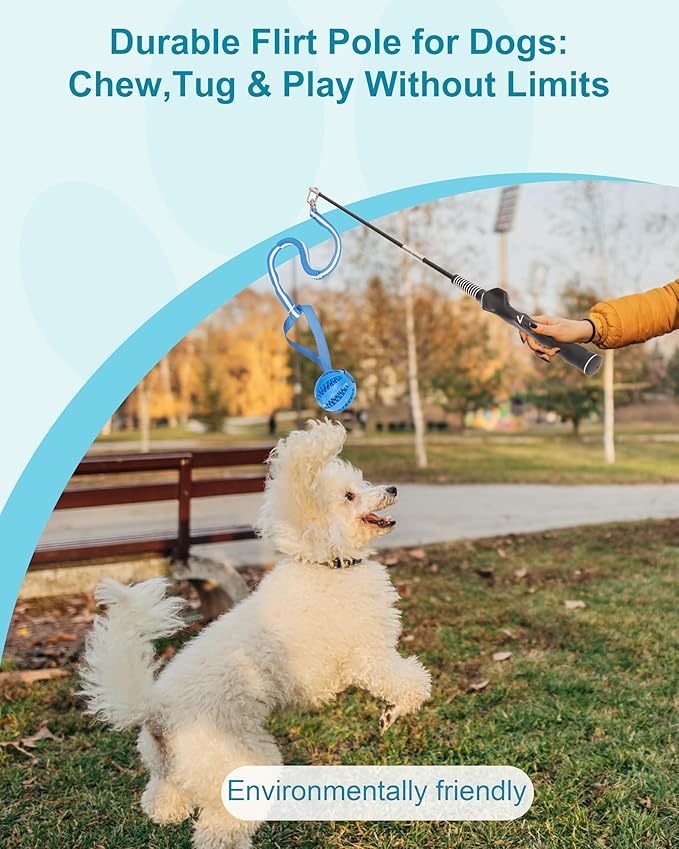 Flirt Pole for Dogs, Durable Dog Flirt Pole for Large Medium & Small Dogs, Interactive Dog Pole Toy with Rubber Ball for Outdoor/Indoor, Training, Chase, Tug of War 24 inch