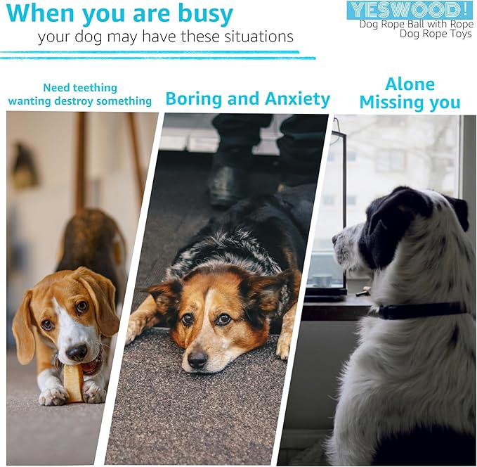 YESWOOD! Dog Squeaky Cocodie Rope Toy Pink Cute Stuffed Lobster,Durable Puppy RopeToy for Aggressive Chwers Tug of War Fetch Chew Toys for Teething Small Medium Breed 10-105 Pounds Interactive Gifts