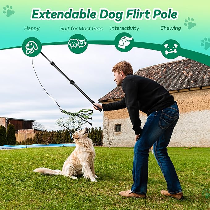 Flirt Pole for Dogs, Interactive Toys Tug-of-war for Pet, Durable Teaser Wand, Chase Toys with Rope Chewing Sticks, for Outdoor Exercise & Training