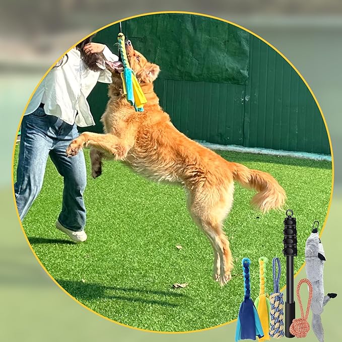 Flirt Pole for Dogs - Interactive Toys Tug-of-war for Dog, Five-Section Retractable Adjustable Length for Outdoor Exercise & Training