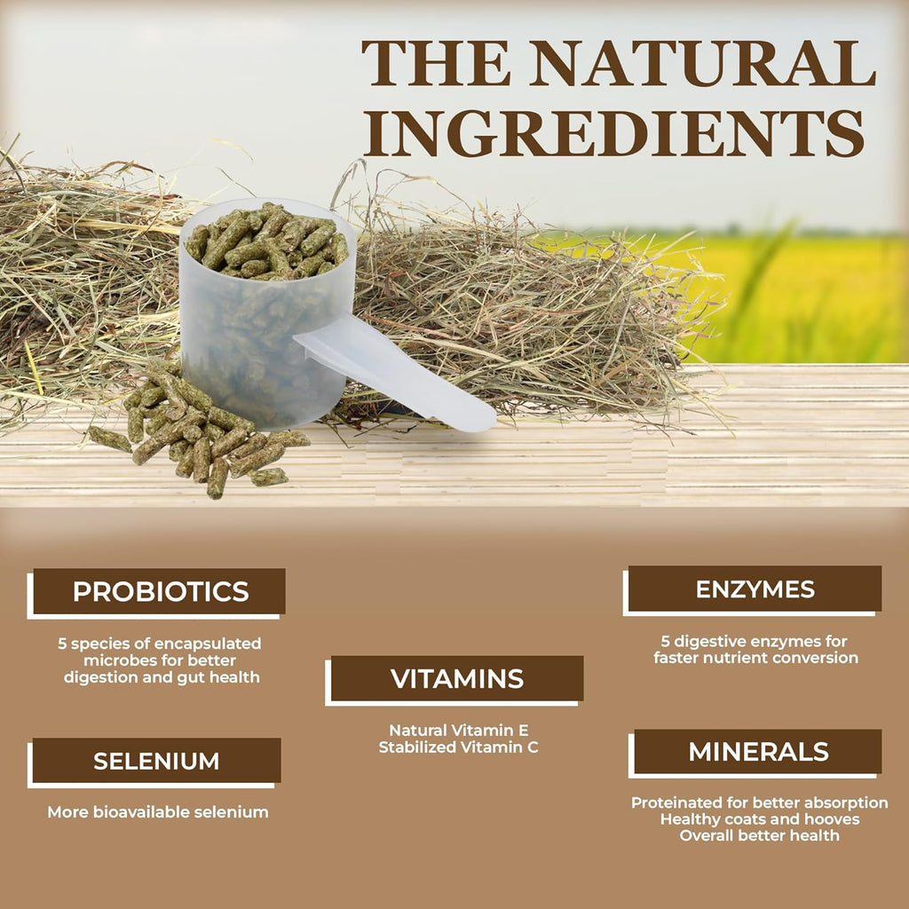 Equerry's Economy Equine Supplement - Horse Probiotics | Supplement for Horses | Horse Vitamins and Minerals Supplement with Enzymes and Selenium,20lb