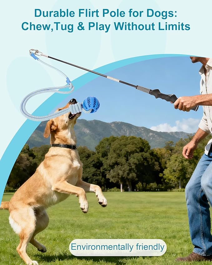 Flirt Pole for Dogs, Durable Dog Flirt Pole for Large Medium & Small Dogs, Interactive Dog Pole Toy with Rubber Ball for Outdoor/Indoor, Training, Chase, Tug of War 31 inch