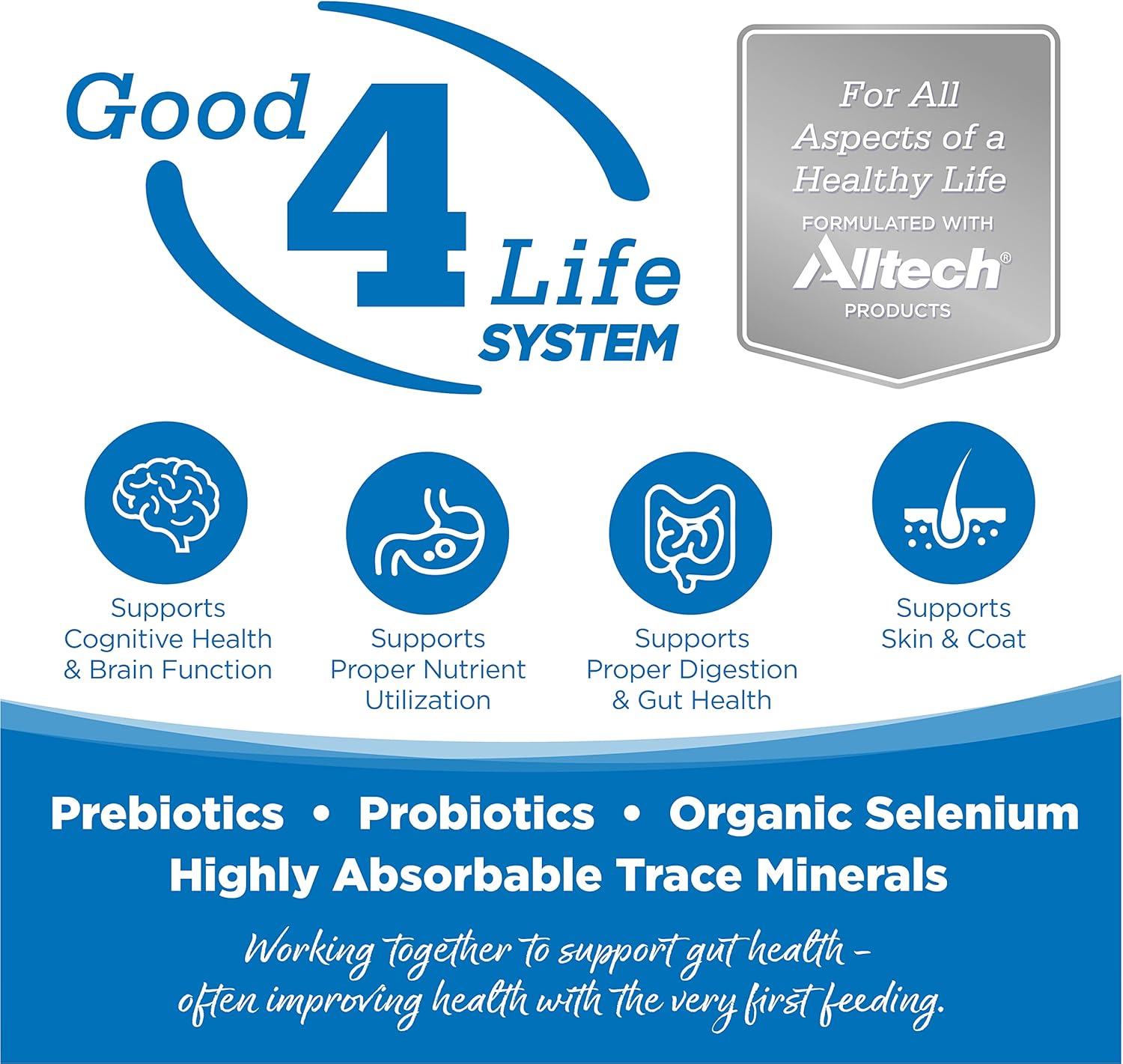 NutriSource Adult Dry Dog Food for Large Breeds, Chicken and Rice, 26LB