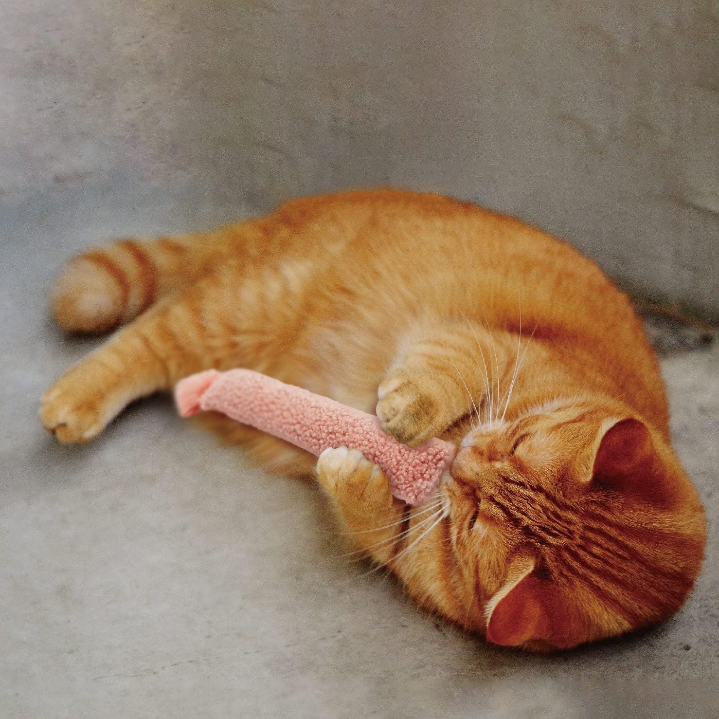 2 Pack Natural Interactive Catnip & Silvervine Cat Kicker with Tail, Bite Resistant Chew Toy, Crinkle Kicker, Accessories for Indoor Cat, Sherpa Material