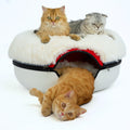 CATTASAURUS Peekaboo Cat Cave for Multiple & Large Cats Up to 30-45 Lbs, Fluffy Cat Beds & Furniture, Scratch Detachable & Washable Tunnel Bed, Comfy Donut Bed (Ruby Snowball, Large (Calming))