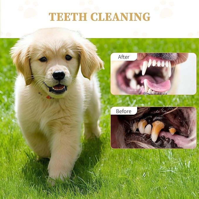 Dog Rope Toys for Small Aggressive Chewers, Tough Cotton Chew Toy, 16in Indestructible, Tug of War Dog Pull Rope Teeth Cleaning(2 pack-16Inch)