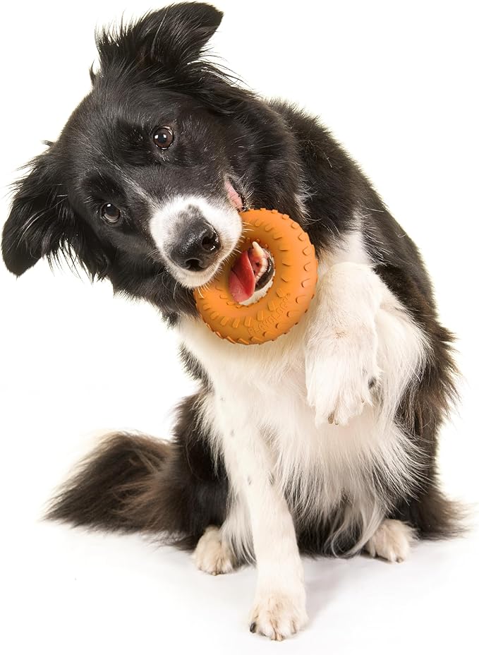 Playology Dog Toys | Dual Layer Ring Durable Chew Toy for Aggressive Chewers | Medium Cheddar Cheese Scented Toy - Easy to Clean and Made from Non Toxic Materials