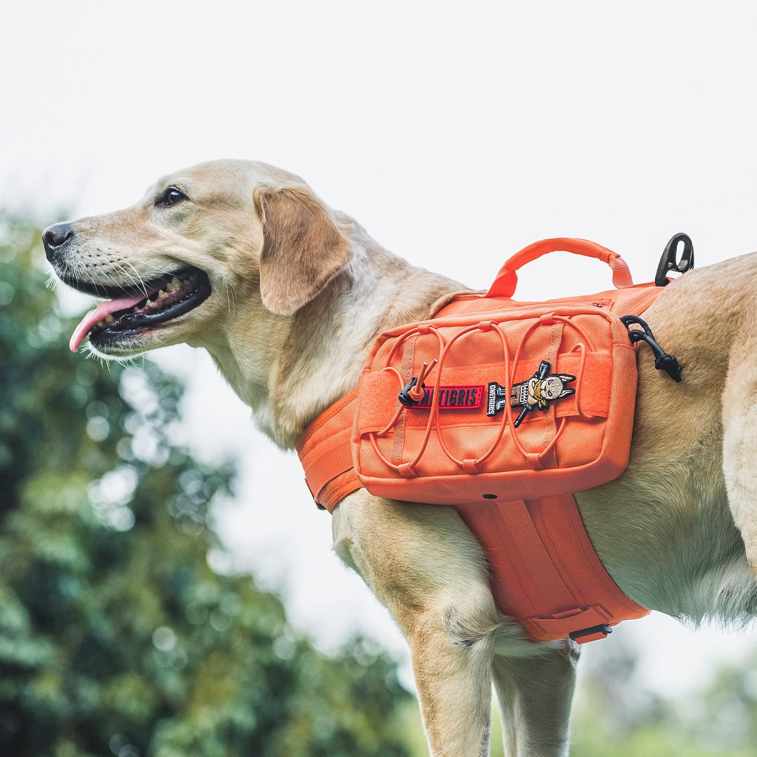 ONETIGRIS Dog Backpack for Medium & Large Dogs, Nylon Backpack for Dogs Tactical Pet Backpack with Side Pockets for Hiking Walking Training Running (Orange, Medium)