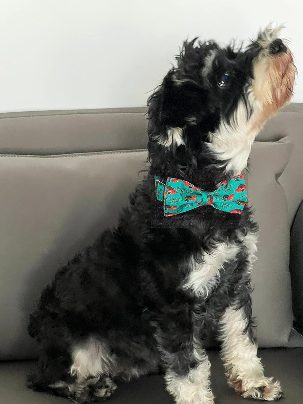 Lionet Paws Thanksgiving Day Dog Collar with Bowtie, Dog Bowtie Collar with Metal Buckle for Dogs and Cats, Adjustable Comfortable Turkey Dog Collar Girl Boy Gift，XXS, Neck 7-11 in