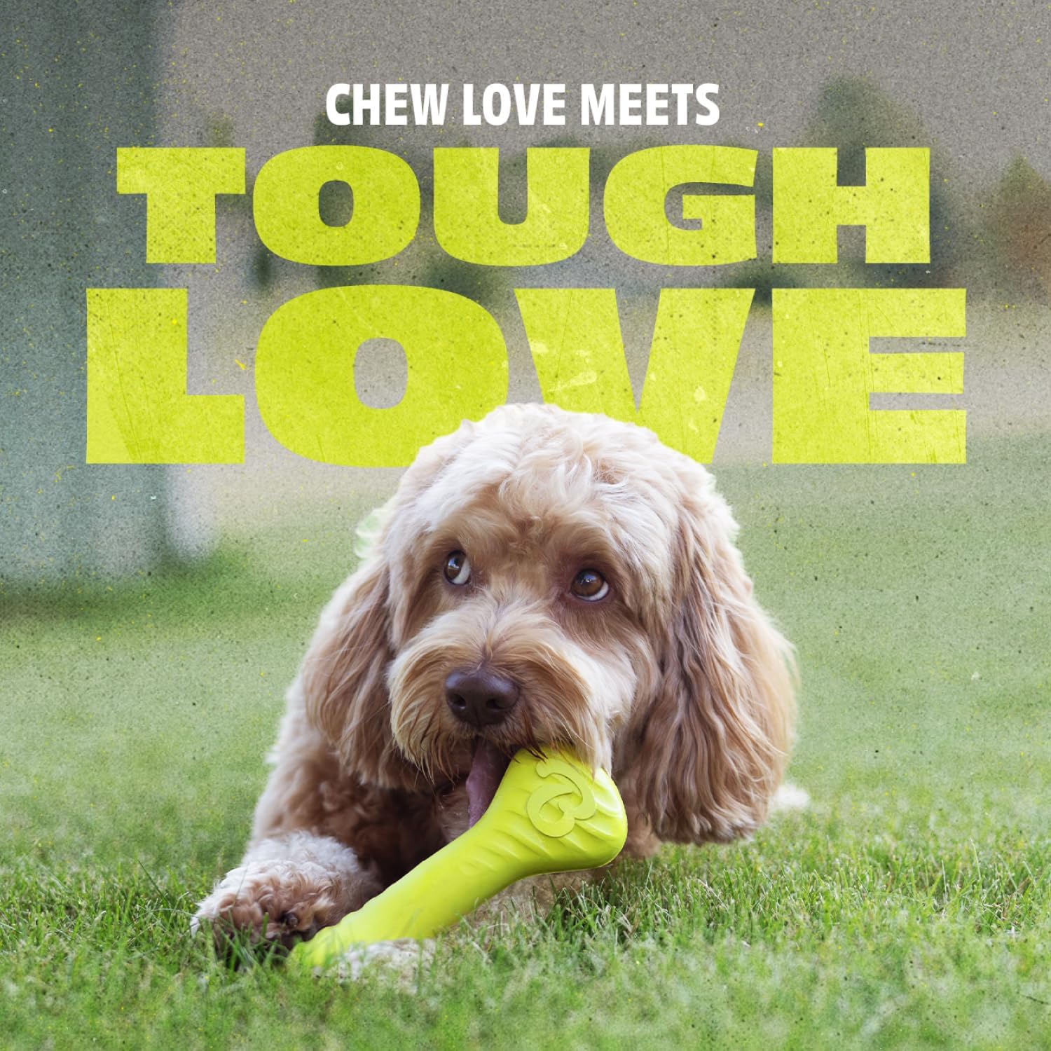 Benebone Natural Rubber Dog Bone Chew Toy, Natural Rubber