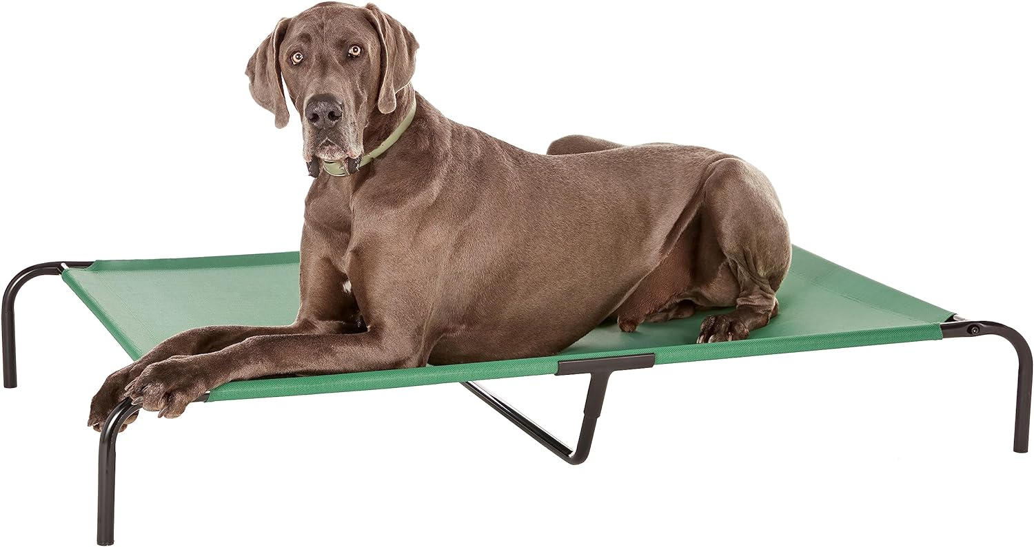 Amazon Basics Cooling Breathable Elevated Dog Bed with Durable Metal Frame, for Large Dogs, X-Large, 60 x 37 x 9 Inch, Green