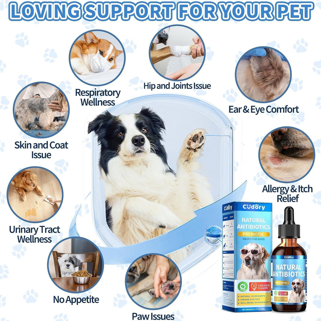 Natural Antibiotics for Dogs, Herbal Dog Antibiotics Supplement with Prebiotics for Dog Allergy Itch Relief Cough Immune Support Dog UTI Comfort for All Breeds and Ages-Chicken Flavor | 2 fl oz